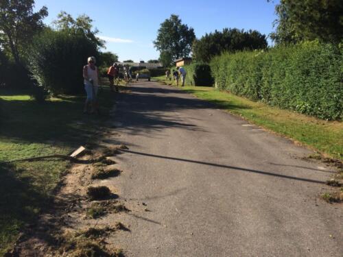 Fælles arbejdsdag - græskanter renses - 27. Aug2016